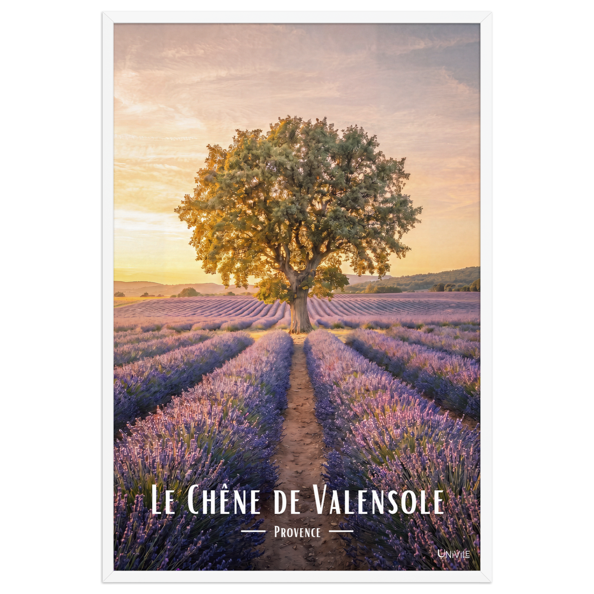 Affiche de Provence Le Chêne de Valensole 61 × 91 cm / Blanc - Univile Provence