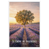 Affiche de Provence Le Chêne de Valensole 61 × 91 cm / Blanc - Univile Provence