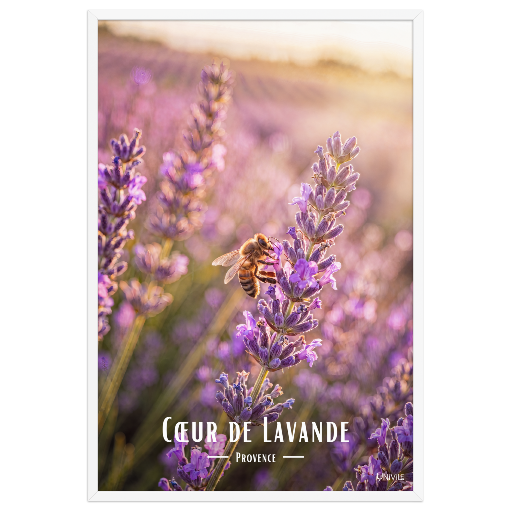 Affiche de Provence Cœur de Lavande 61 × 91 cm / Blanc - Univile Provence