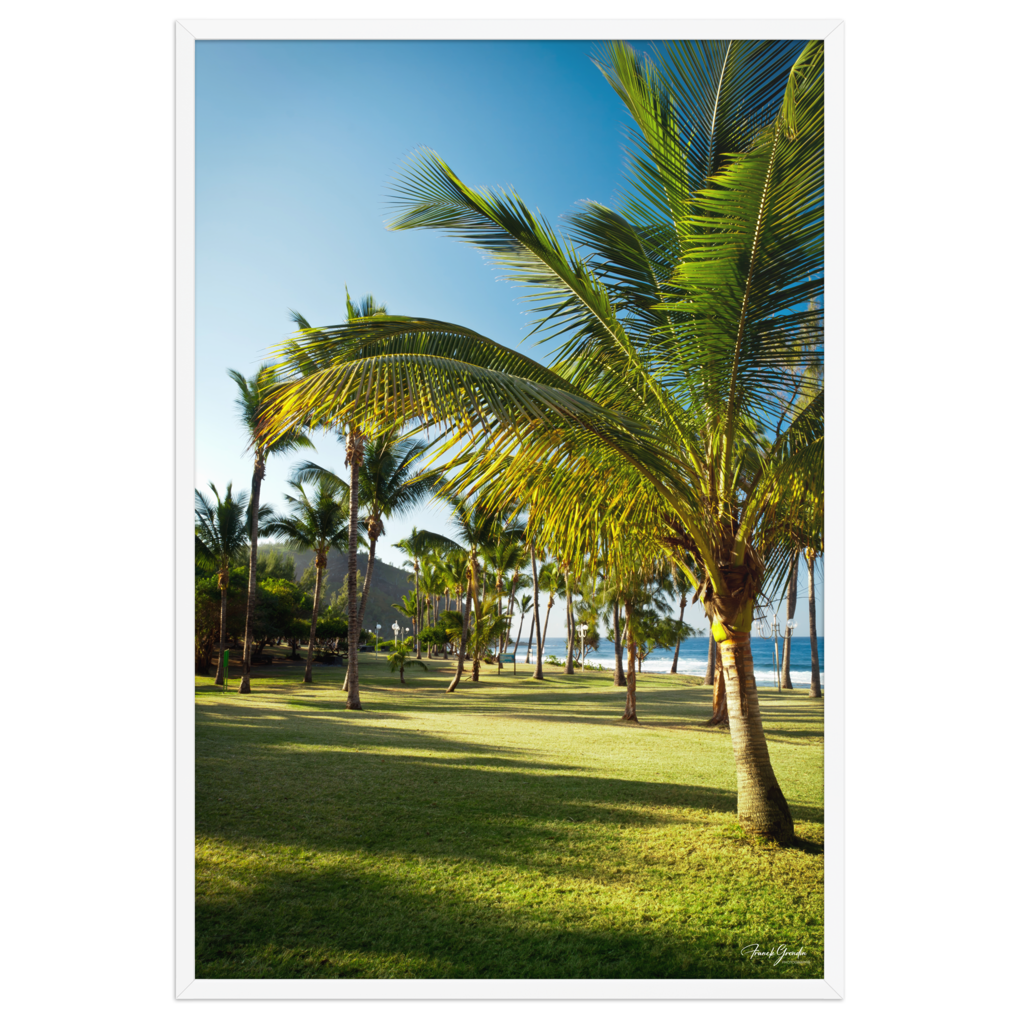Affiche de La Réunion Palmier de Grande Anse 61 × 91 cm / Blanc - photographie Franck Grondin