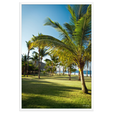 Affiche de La Réunion Palmier de Grande Anse 61 × 91 cm / Blanc - photographie Franck Grondin