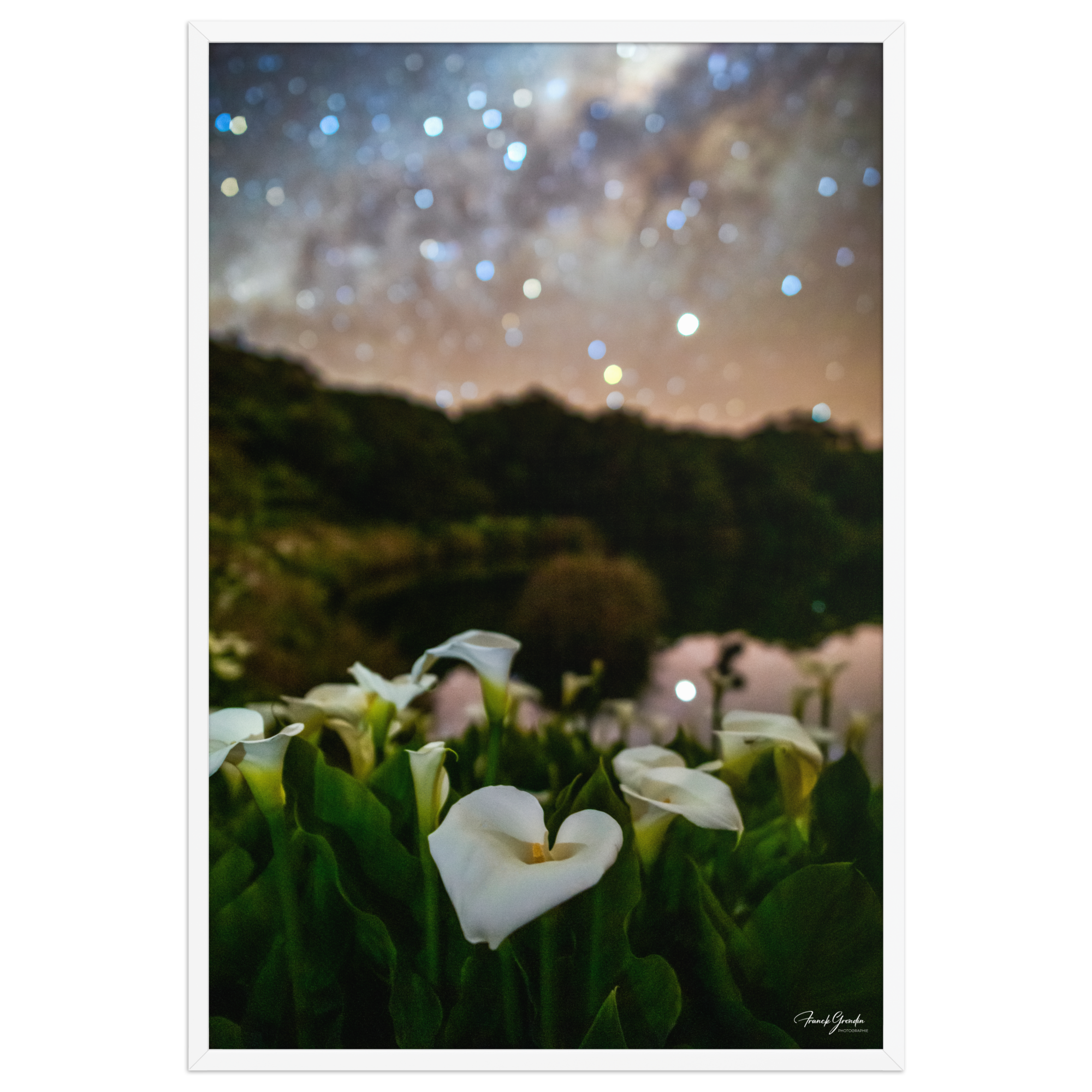 Affiche de La Réunion Arums du Piton de l'Eau 61 × 91 cm / Blanc - photographie Franck Grondin