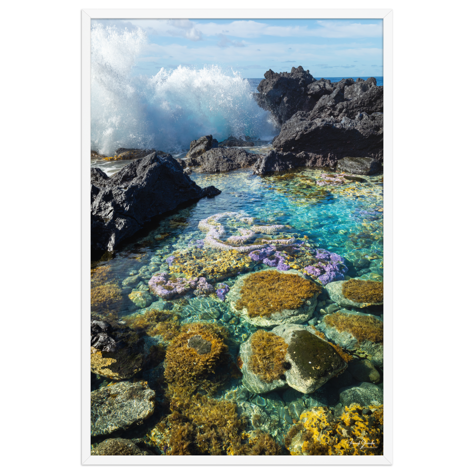 Affiche de La Réunion Coraux de Langevin 61 × 91 cm / Blanc - photographie Franck Grondin
