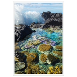 Affiche de La Réunion Coraux de Langevin 61 × 91 cm / Blanc - photographie Franck Grondin