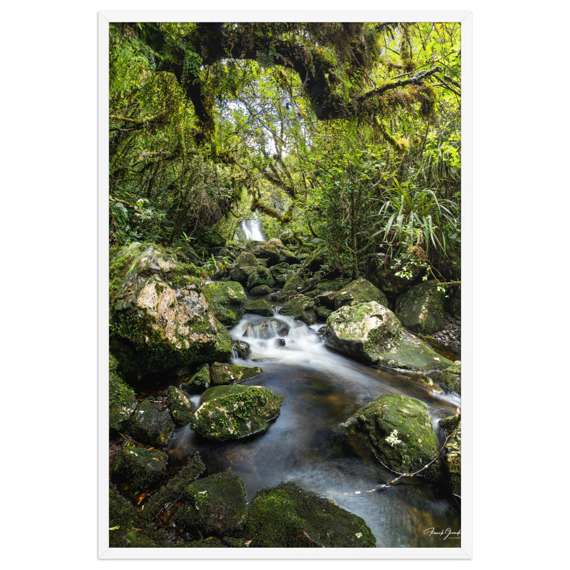Affiche de La Réunion Forêt du Bras des Lianes 61 × 91 cm / Blanc - photographie Franck Grondin