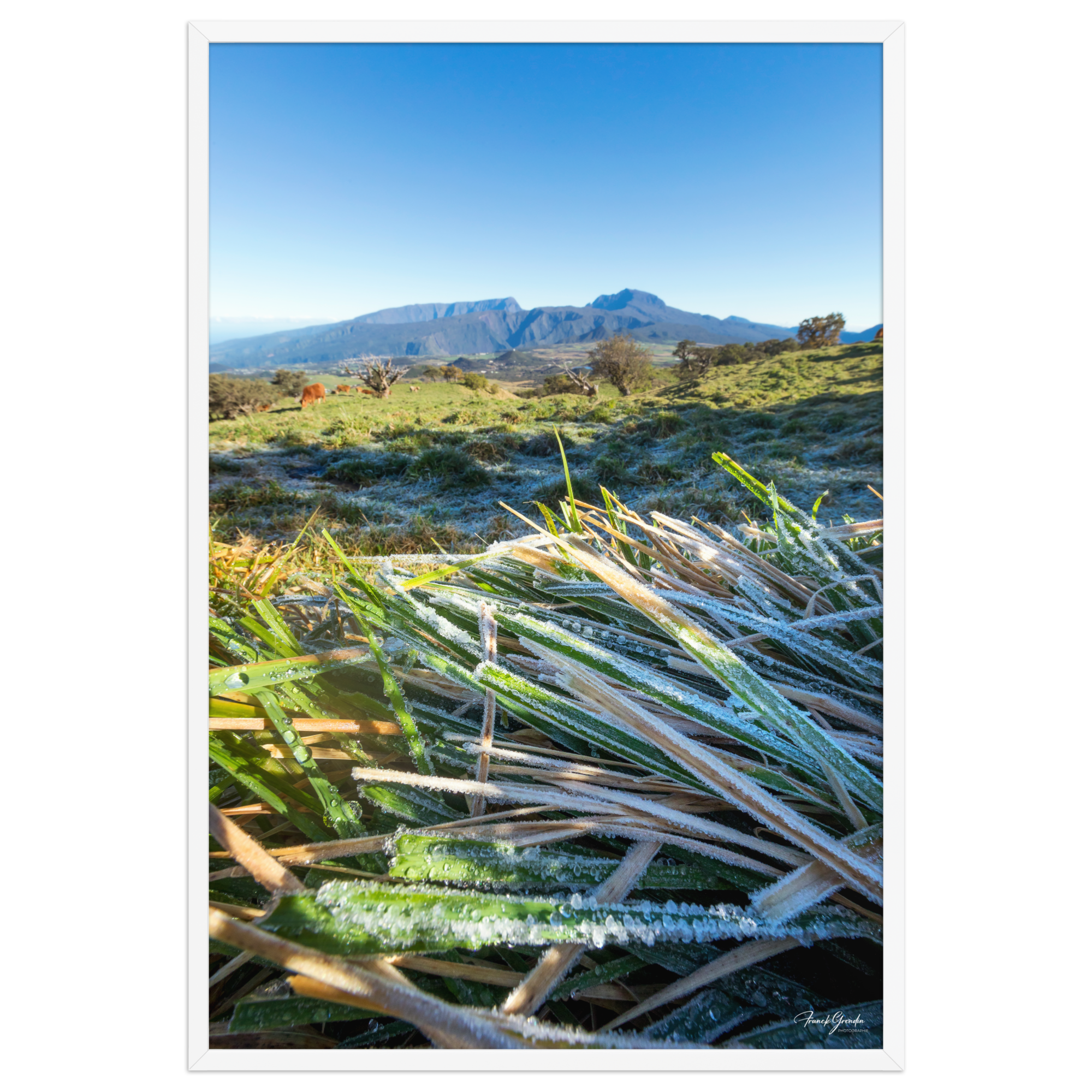 Affiche de La Réunion Givre sur les Hauts du Volcan 61 × 91 cm / Blanc - photographie Franck Grondin