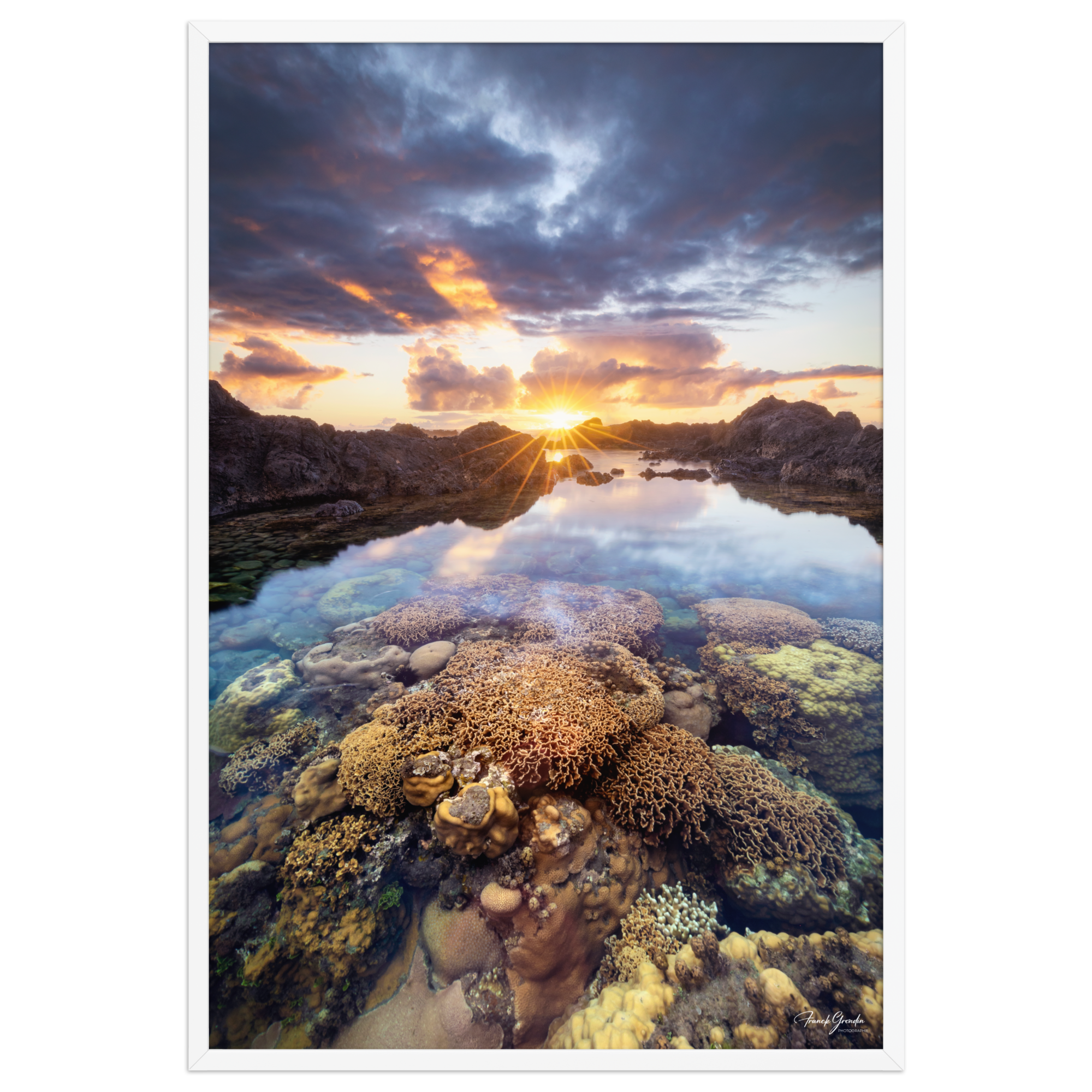 Affiche de La Réunion Coraux de la Souris Blanche 61 × 91 cm / Blanc - photographie Franck Grondin