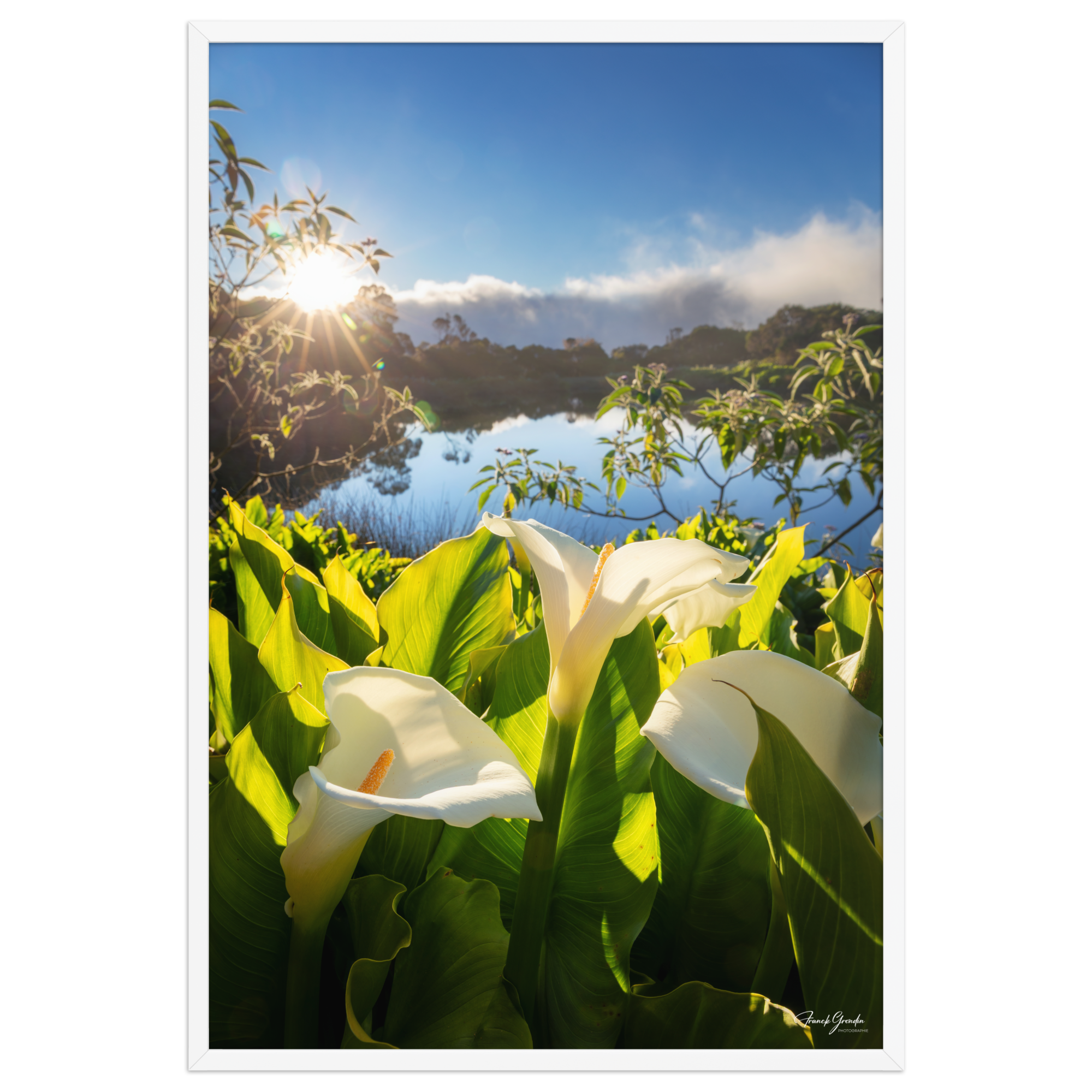 Affiche de La Réunion Arums du Piton de l'Eau au Crépuscule 61 × 91 cm / Blanc - photographie Franck Grondin