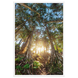 Affiche de La Réunion Forêt de Vacoas 61 × 91 cm / Blanc - photographie Franck Grondin