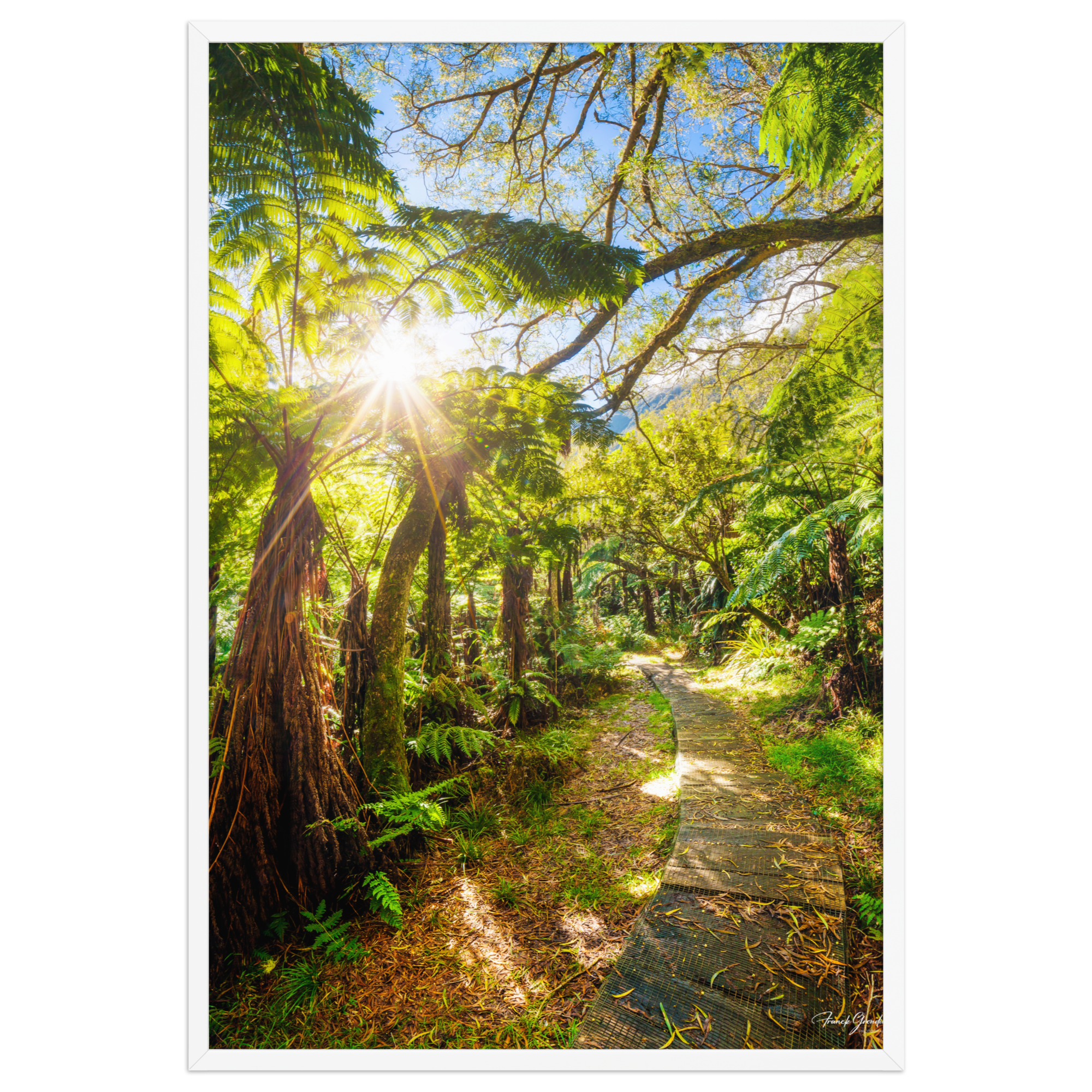 Affiche de La Réunion Le Chemin du Trou de Fer 61 × 91 cm / Blanc - photographie Franck Grondin