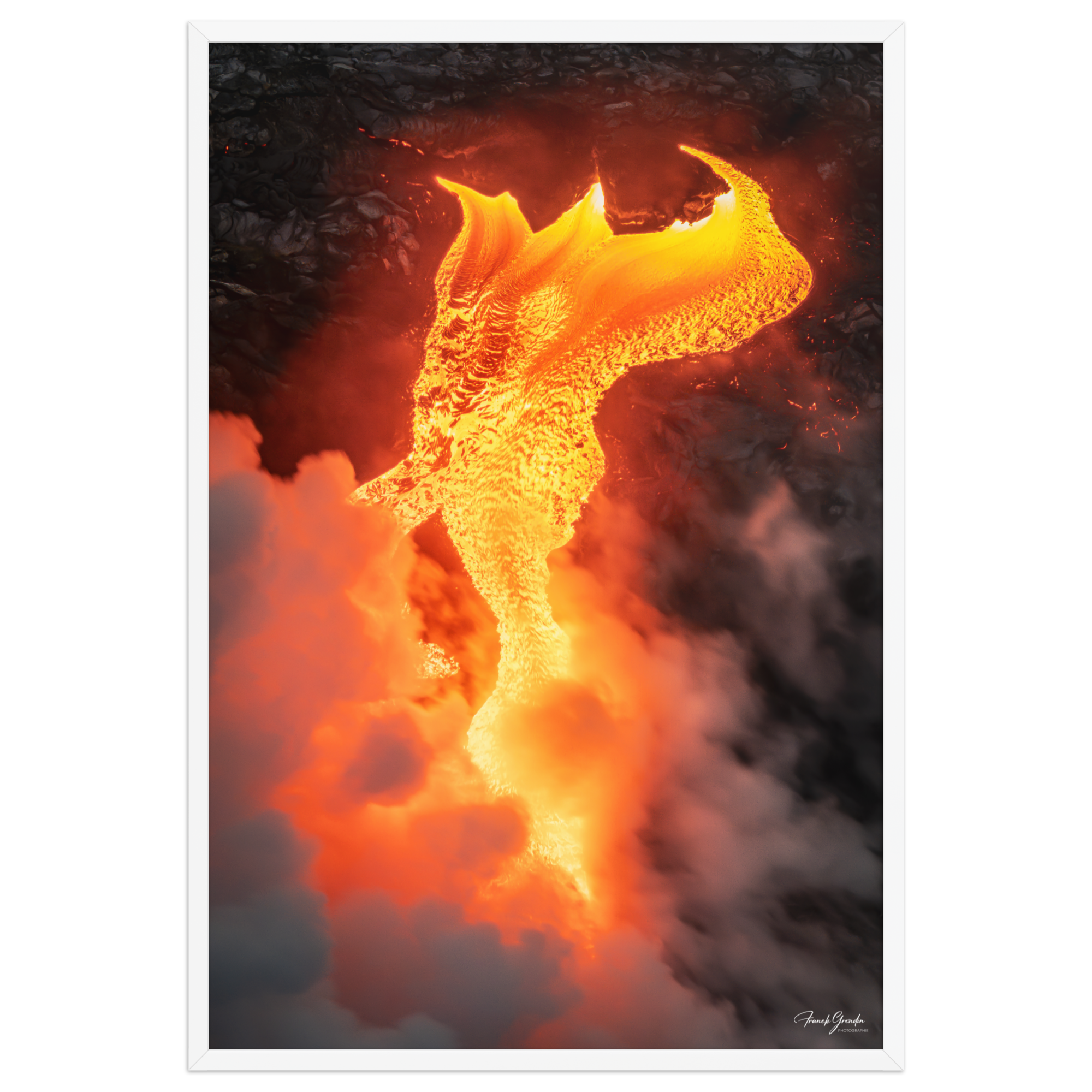 Affiche de La Réunion Robe de Feu, Février 2026 61 × 91 cm / Blanc - photographie Franck Grondin