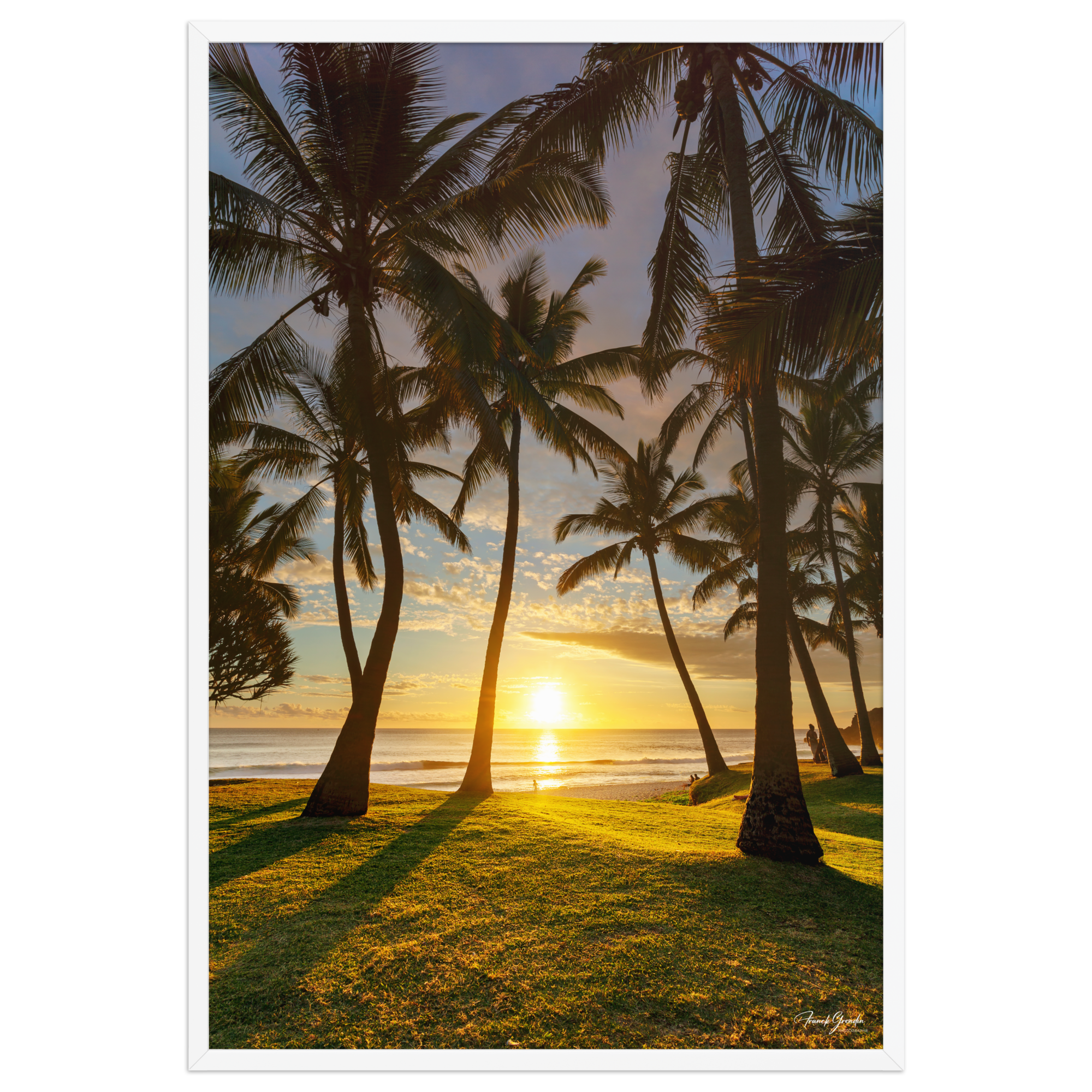 Affiche de La Réunion Cocotiers de Grande Anse 61 × 91 cm / Blanc - photographie Franck Grondin