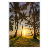 Affiche de La Réunion Cocotiers de Grande Anse 61 × 91 cm / Blanc - photographie Franck Grondin