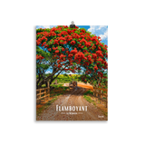 Affiche de la Réunion Flamboyant des champs 30 × 40 cm / Sans Cadre - Univile