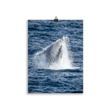 Affiche de La Réunion Baleine 30 × 40 cm / Sans cadre - Univile La Réunion