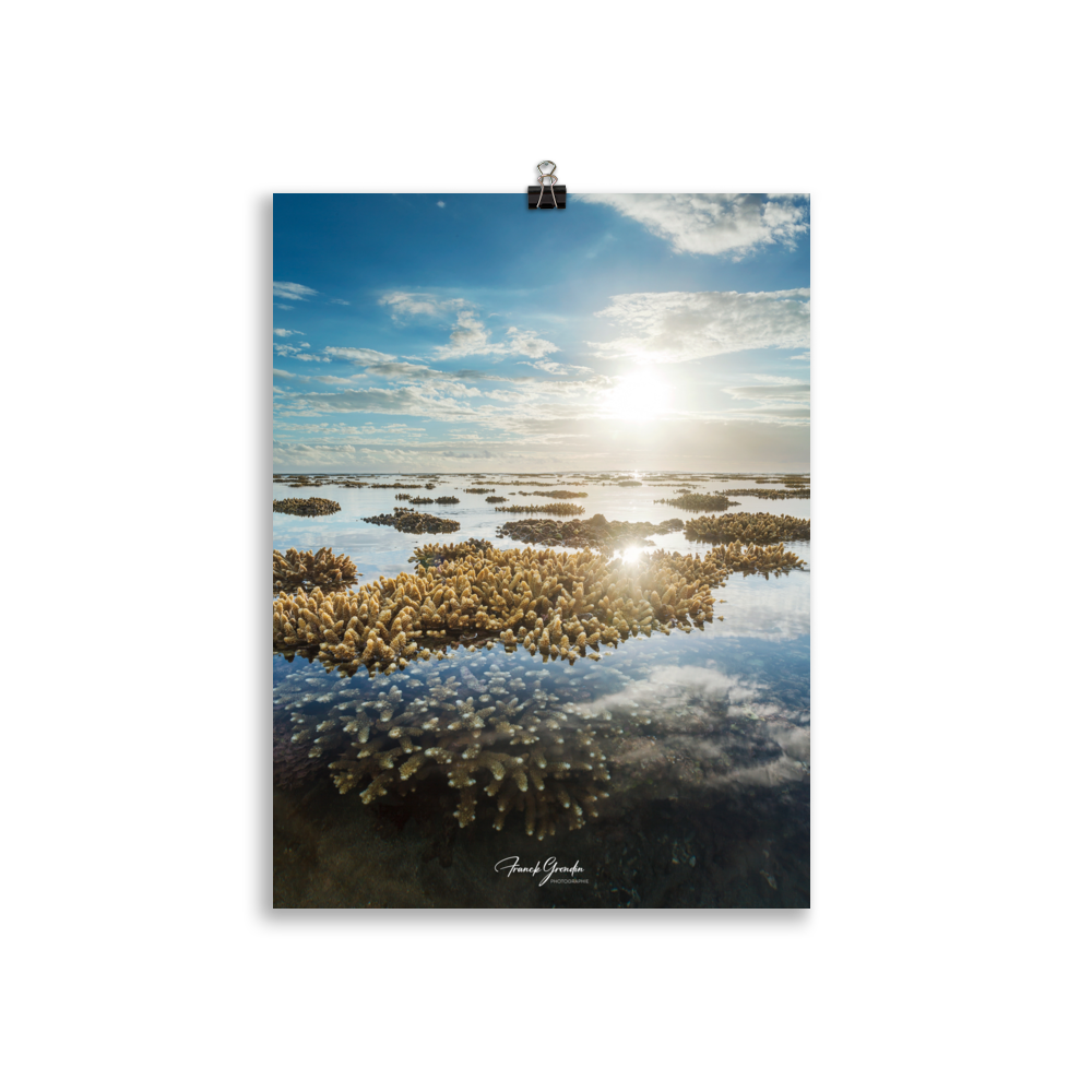 Affiche de La Réunion Le Récif 30 × 40 cm / Sans cadre - Univile La Réunion