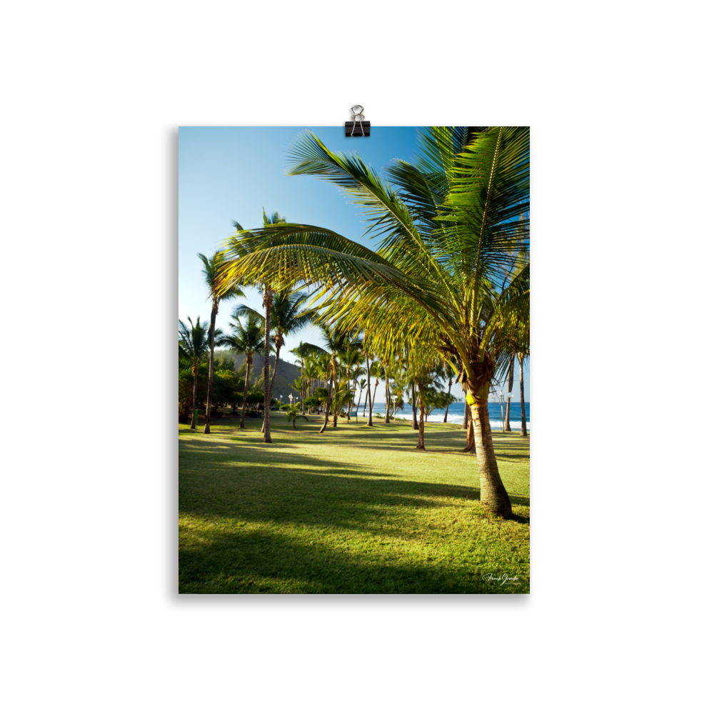 Affiche de La Réunion Palmier de Grande Anse 30 × 40 cm / Sans cadre - photographie Franck Grondin