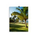 Affiche de La Réunion Palmier de Grande Anse 30 × 40 cm / Sans cadre - photographie Franck Grondin