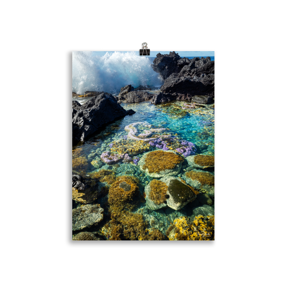 Affiche de La Réunion Coraux de Langevin 30 × 40 cm / Sans cadre - photographie Franck Grondin