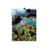 Affiche de La Réunion Coraux de Langevin 30 × 40 cm / Sans cadre - photographie Franck Grondin