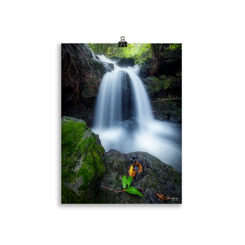 Affiche de La Réunion Cascade du Pont Rouge, Le Tremblet 30 × 40 cm / Sans cadre - photographie Franck Grondin