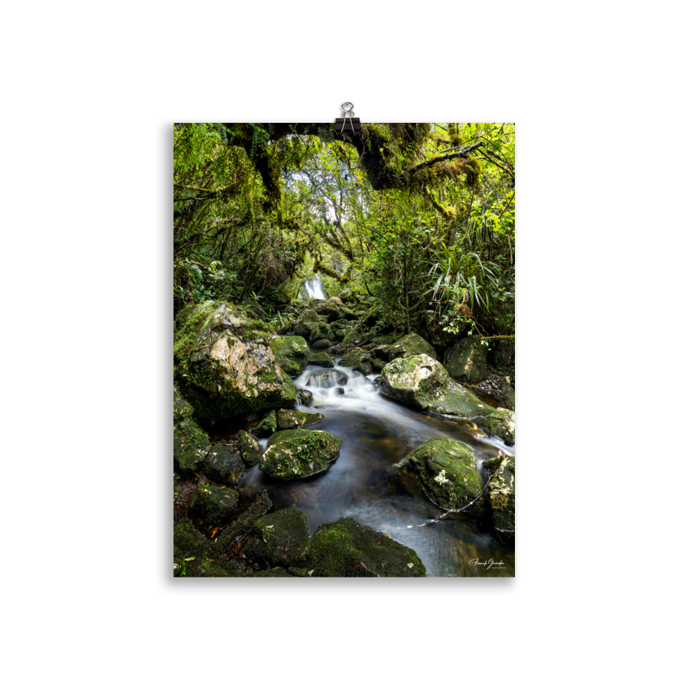 Affiche de La Réunion Forêt du Bras des Lianes 30 × 40 cm / Sans cadre - photographie Franck Grondin