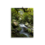 Affiche de La Réunion Forêt du Bras des Lianes 30 × 40 cm / Sans cadre - photographie Franck Grondin