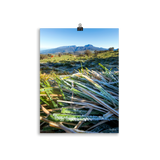 Affiche de La Réunion Givre sur les Hauts du Volcan 30 × 40 cm / Sans cadre - photographie Franck Grondin