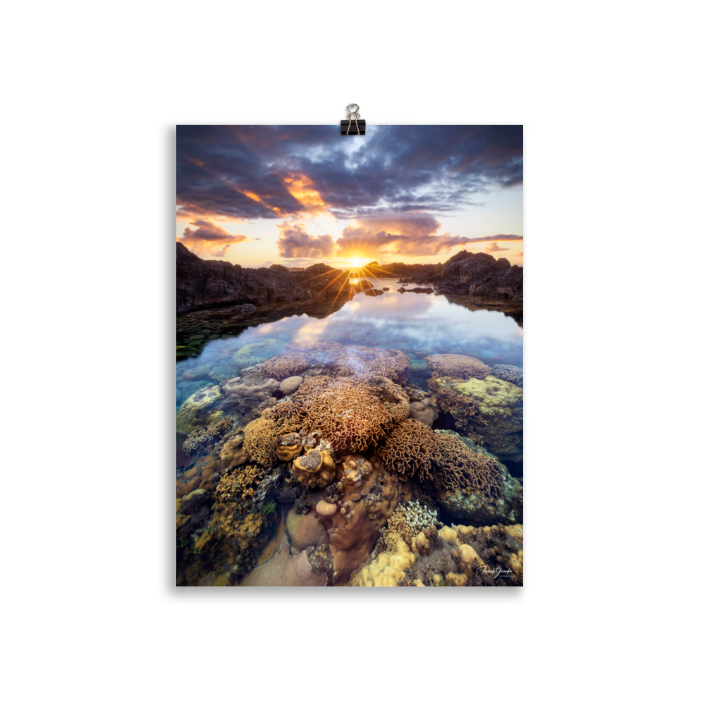 Affiche de La Réunion Coraux de la Souris Blanche 30 × 40 cm / Sans cadre - photographie Franck Grondin