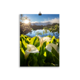 Affiche de La Réunion Arums du Piton de l'Eau au Crépuscule 30 × 40 cm / Sans cadre - photographie Franck Grondin