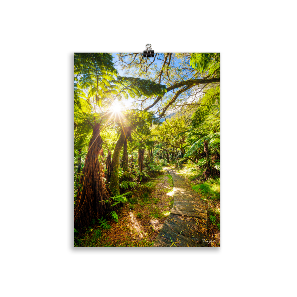 Affiche de La Réunion Le Chemin du Trou de Fer 30 × 40 cm / Sans cadre - photographie Franck Grondin