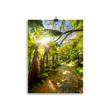 Affiche de La Réunion Le Chemin du Trou de Fer 30 × 40 cm / Sans cadre - photographie Franck Grondin