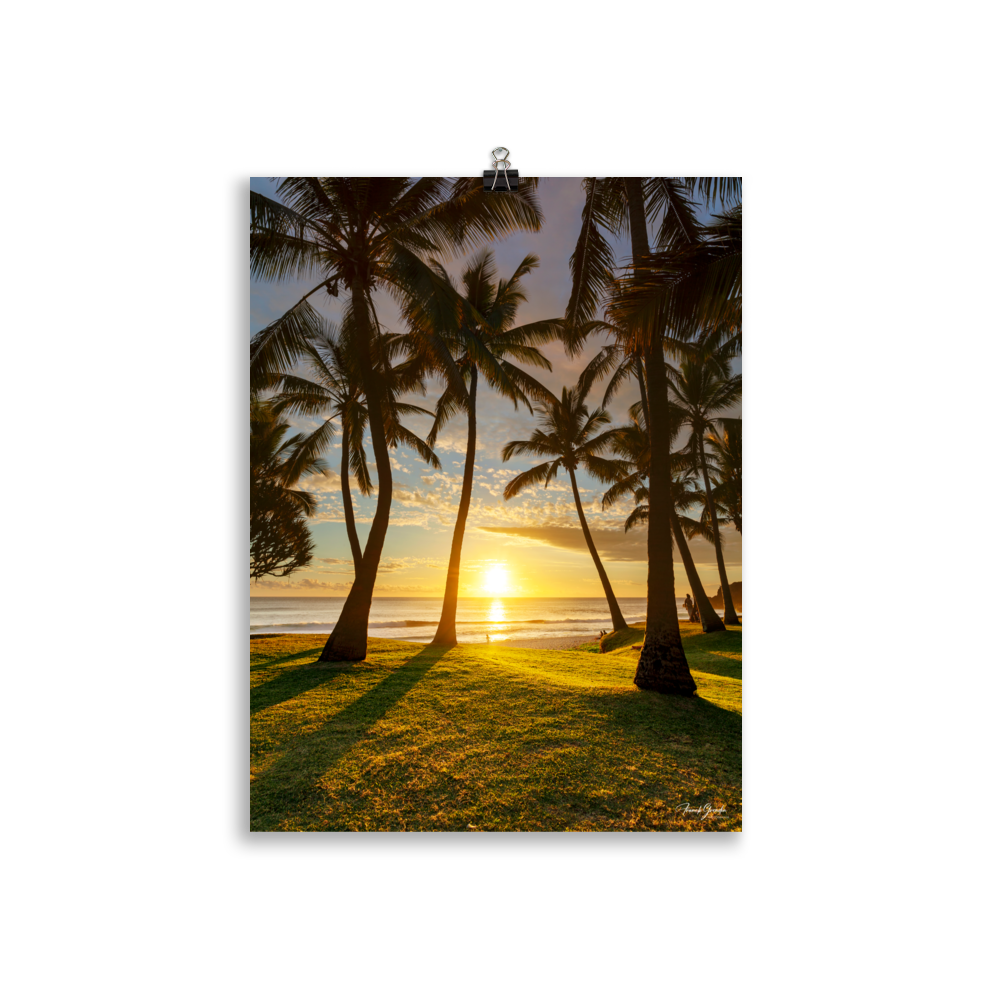 Affiche de La Réunion Cocotiers de Grande Anse 30 × 40 cm / Sans cadre - photographie Franck Grondin