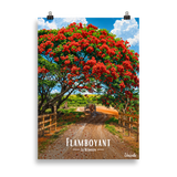 Affiche de la Réunion Flamboyant des champs 50 × 70 cm / Sans Cadre - Univile