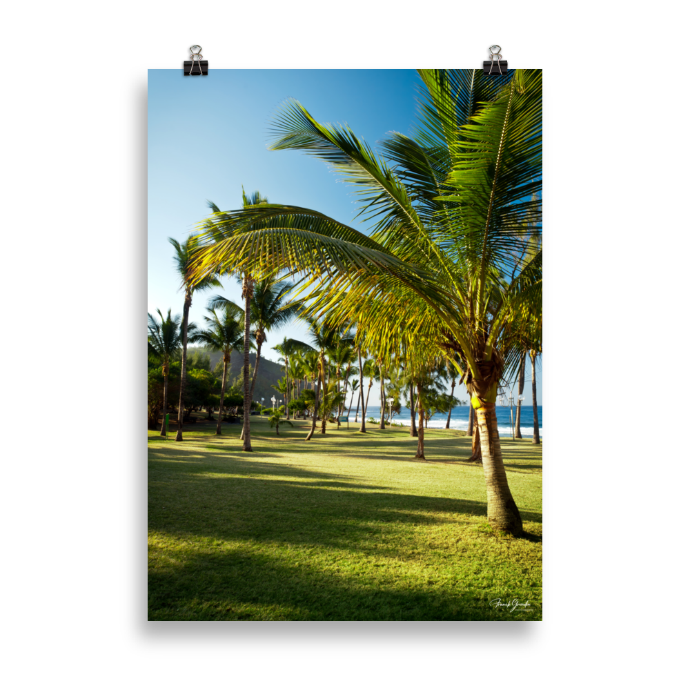 Affiche de La Réunion Palmier de Grande Anse 50 × 70 cm / Sans cadre - photographie Franck Grondin