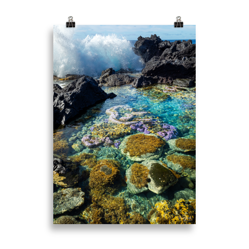 Affiche de La Réunion Coraux de Langevin 50 × 70 cm / Sans cadre - photographie Franck Grondin