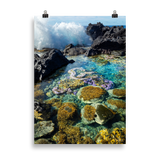 Affiche de La Réunion Coraux de Langevin 50 × 70 cm / Sans cadre - photographie Franck Grondin