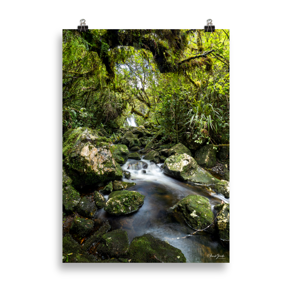 Affiche de La Réunion Forêt du Bras des Lianes 50 × 70 cm / Sans cadre - photographie Franck Grondin