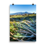 Affiche de La Réunion Givre sur les Hauts du Volcan 50 × 70 cm / Sans cadre - photographie Franck Grondin