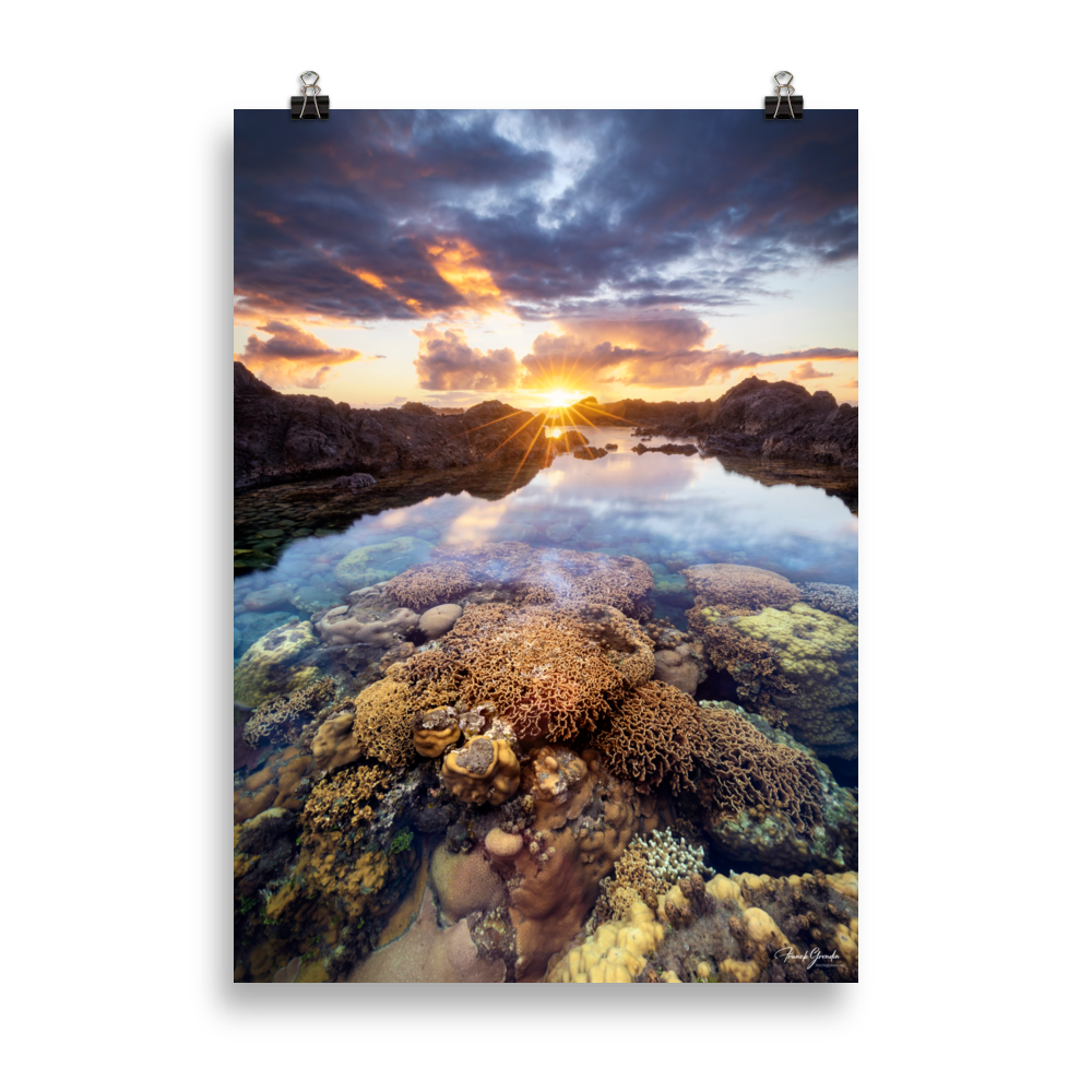 Affiche de La Réunion Coraux de la Souris Blanche 50 × 70 cm / Sans cadre - photographie Franck Grondin