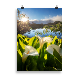 Affiche de La Réunion Arums du Piton de l'Eau au Crépuscule 50 × 70 cm / Sans cadre - photographie Franck Grondin