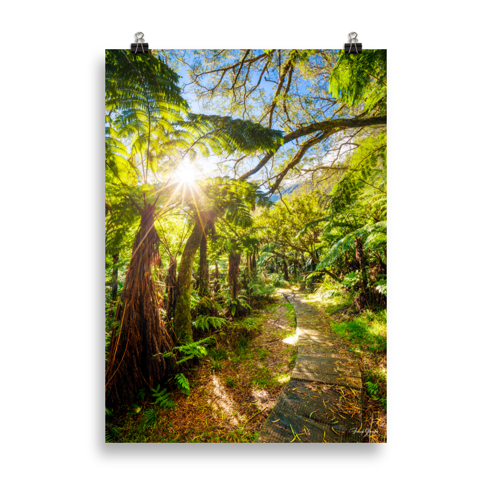 Affiche de La Réunion Le Chemin du Trou de Fer 50 × 70 cm / Sans cadre - photographie Franck Grondin