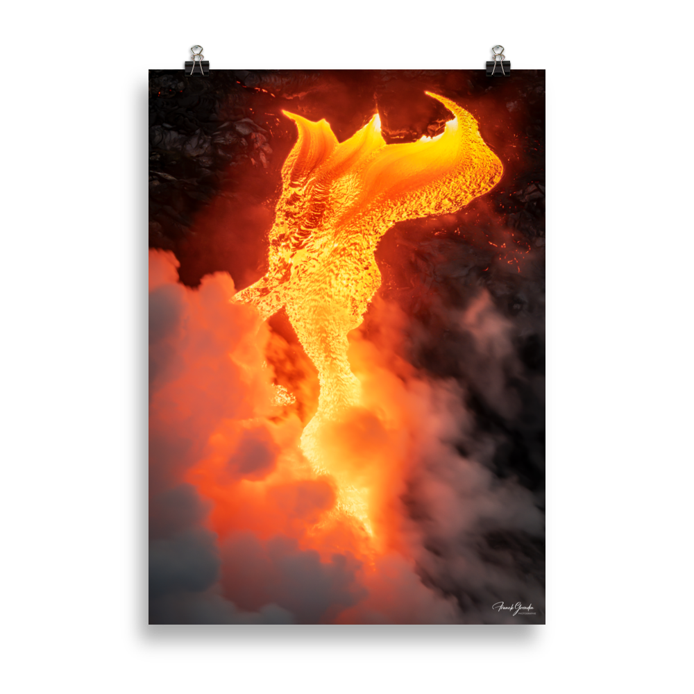 Affiche de La Réunion Robe de Feu, Février 2026 50 × 70 cm / Sans cadre - photographie Franck Grondin