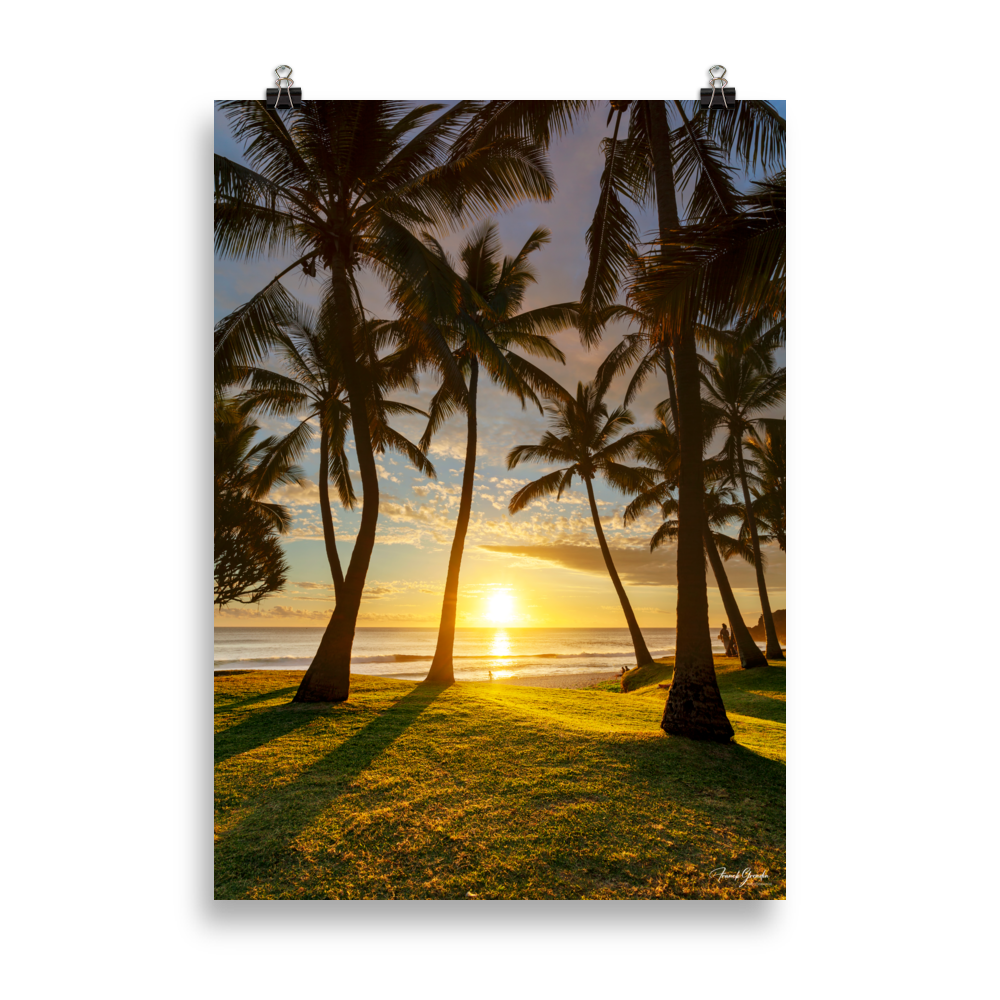Affiche de La Réunion Cocotiers de Grande Anse 50 × 70 cm / Sans cadre - photographie Franck Grondin