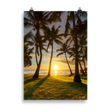 Affiche de La Réunion Cocotiers de Grande Anse 50 × 70 cm / Sans cadre - photographie Franck Grondin