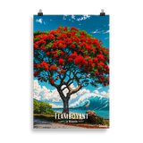 Affiche de La Réunion Flamboyant du Lagon 61 × 91 cm / Sans cadre - Univile La Réunion