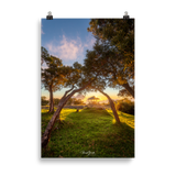 Affiche de La Réunion Kiosque Maïdo sunset 61 × 91 cm / Sans cadre - Univile La Réunion