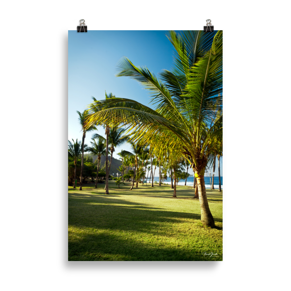 Affiche de La Réunion Palmier de Grande Anse 61 × 91 cm / Sans cadre - photographie Franck Grondin