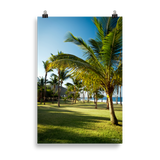Affiche de La Réunion Palmier de Grande Anse 61 × 91 cm / Sans cadre - photographie Franck Grondin