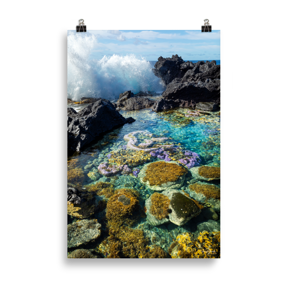 Affiche de La Réunion Coraux de Langevin 61 × 91 cm / Sans cadre - photographie Franck Grondin